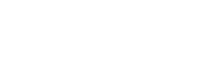 Birgit-Heinemann Logo